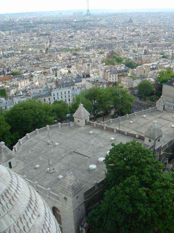DSC08741 - Copy.JPG
