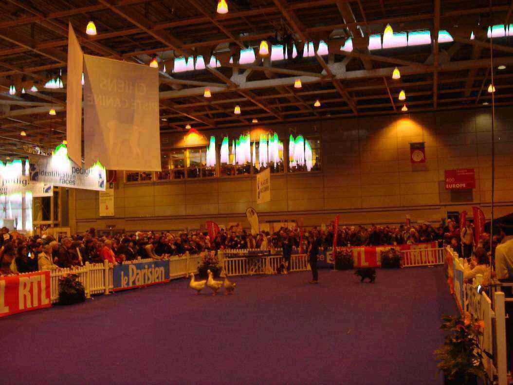 DSC08082 - Copy.JPG