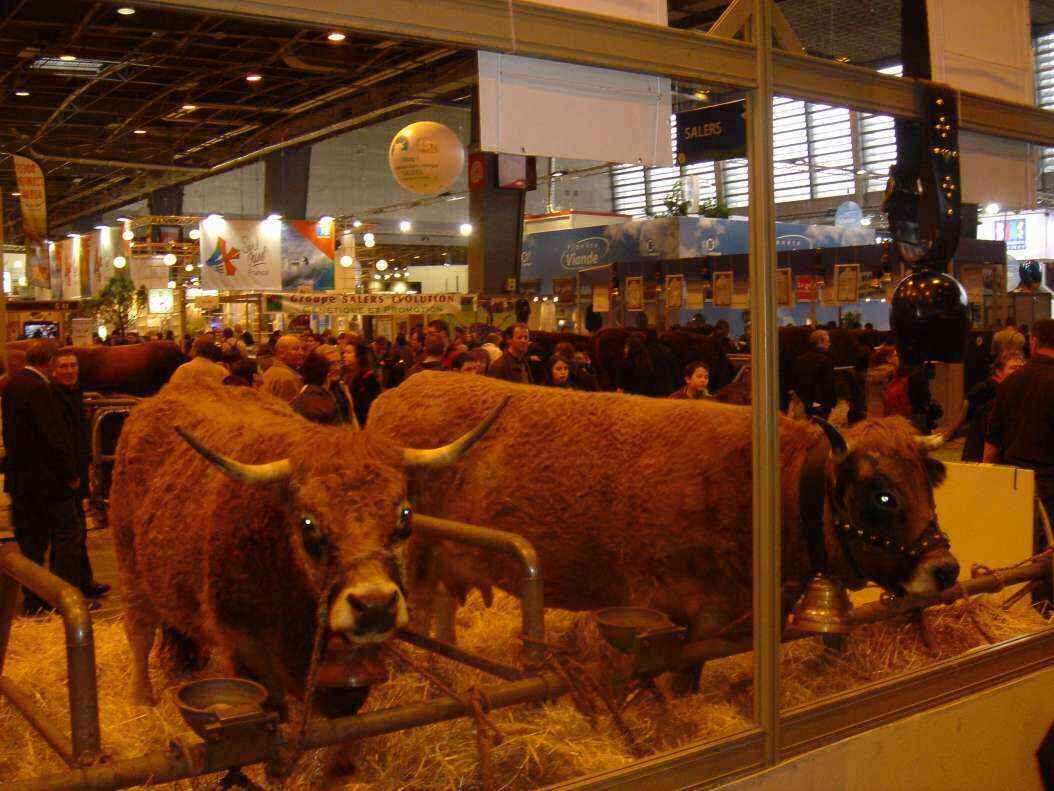 DSC08113 - Copy.JPG