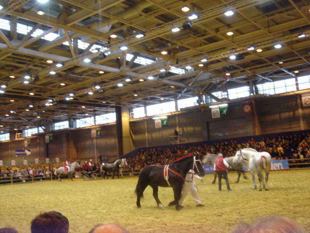 DSC08011 - Copy.JPG