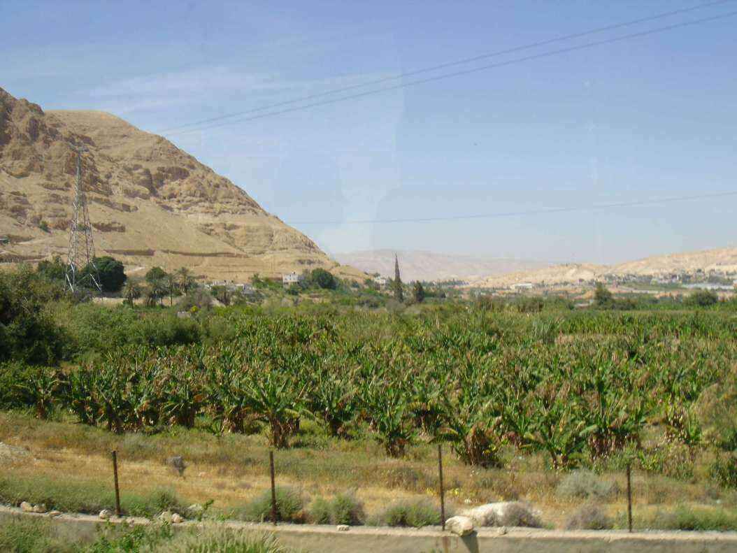 DSC01614 - Copy.JPG