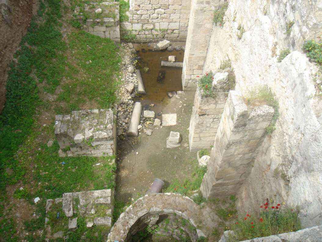 a DSC00515 - Copy.JPG