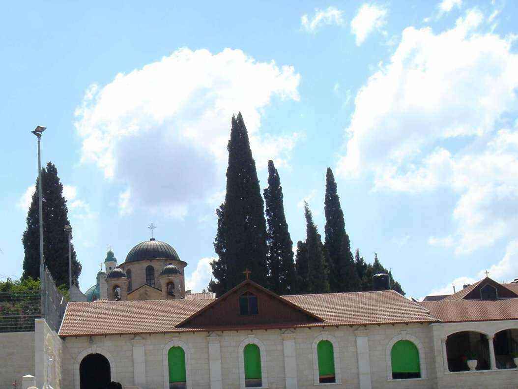 DSC00883 - Copy.JPG