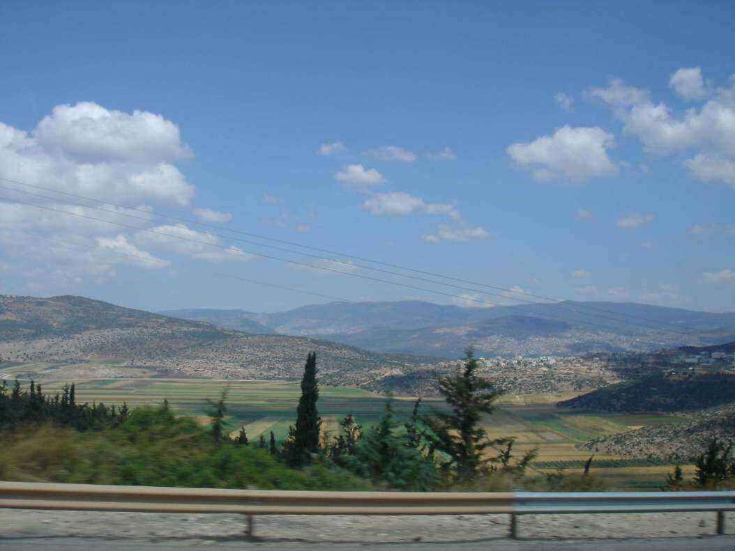 DSC00910 - Copy.JPG