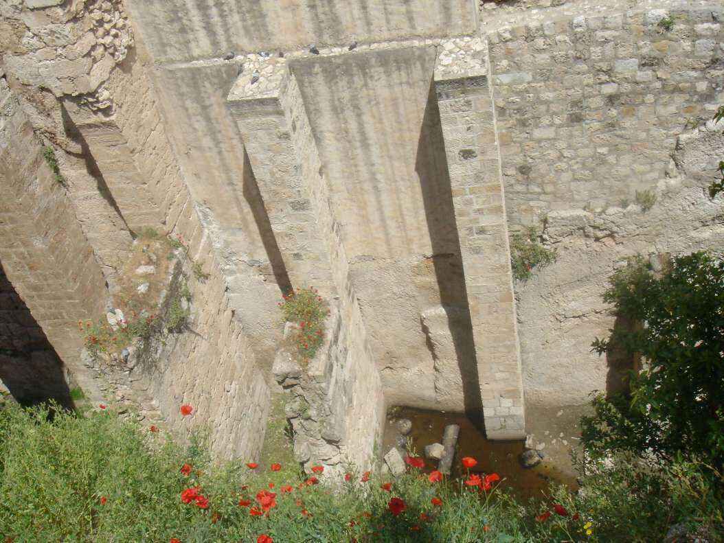 DSC00524 - Copy.JPG