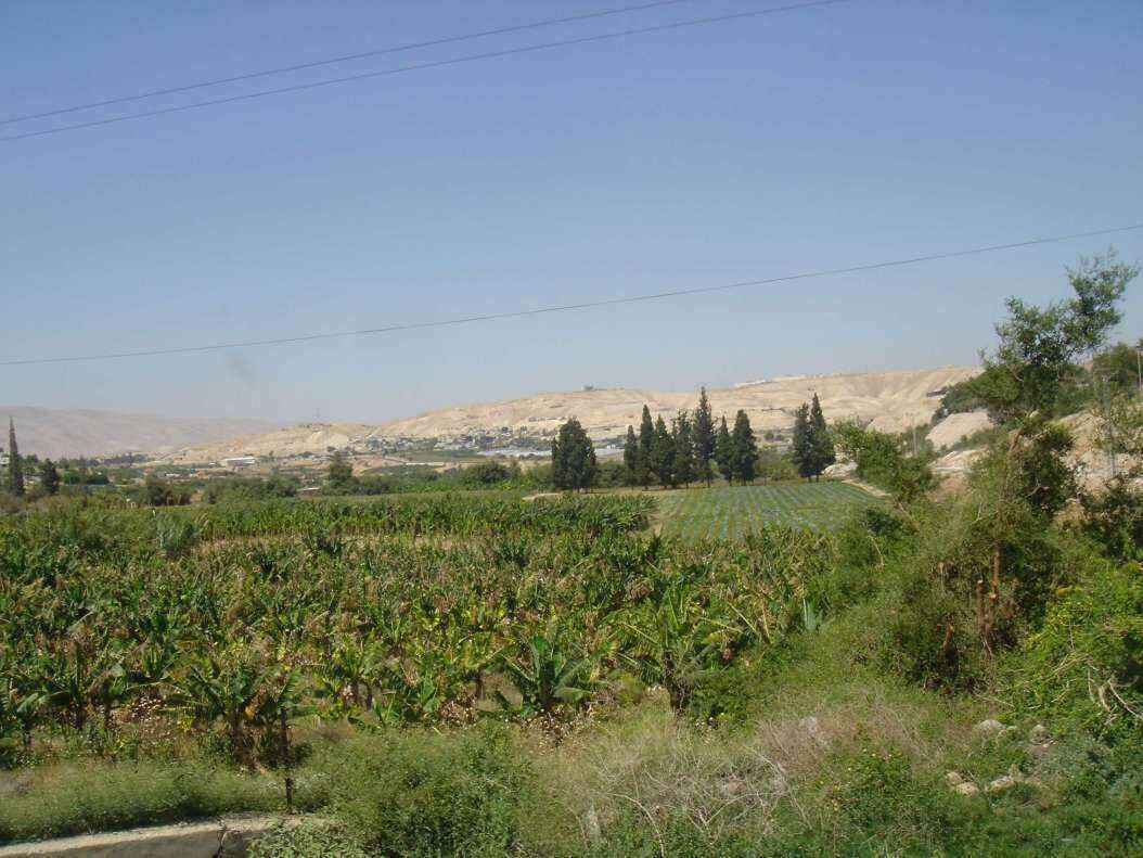 DSC01615 - Copy.JPG