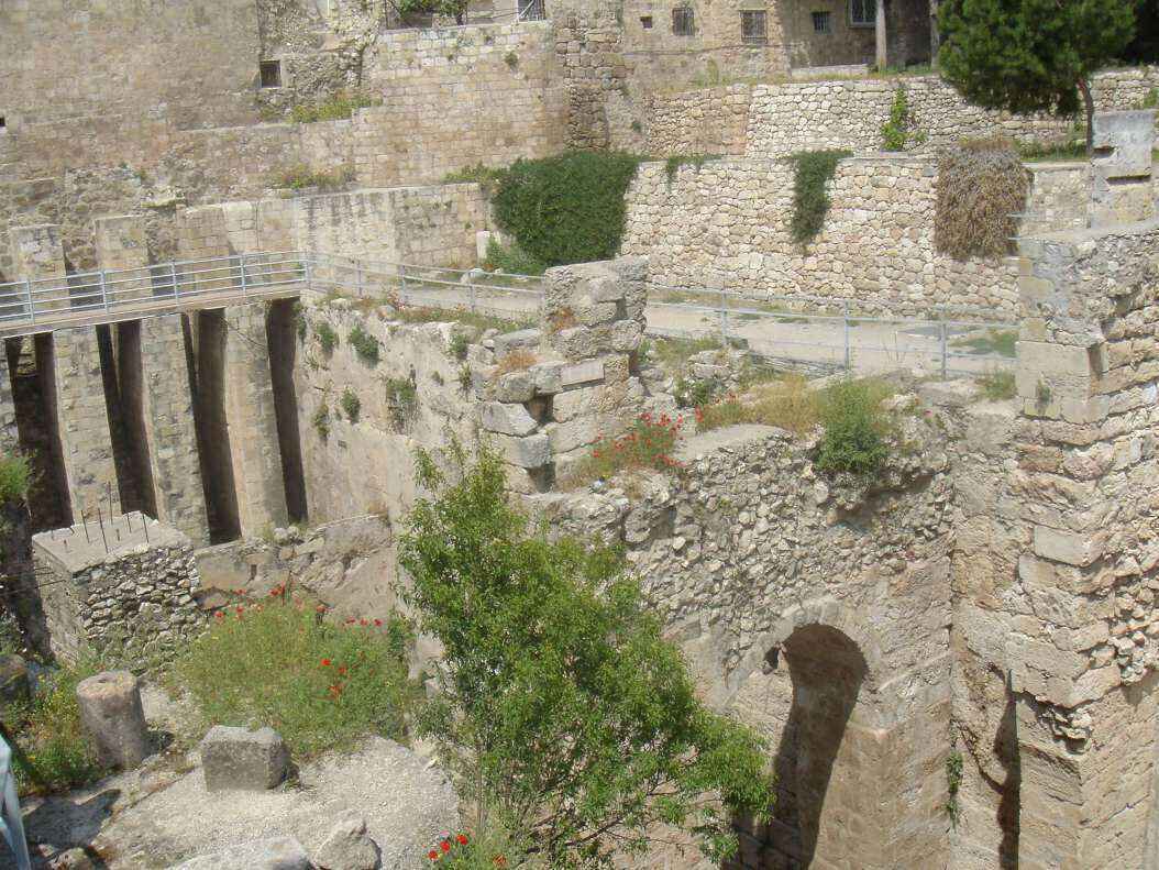 DSC00525 - Copy.JPG