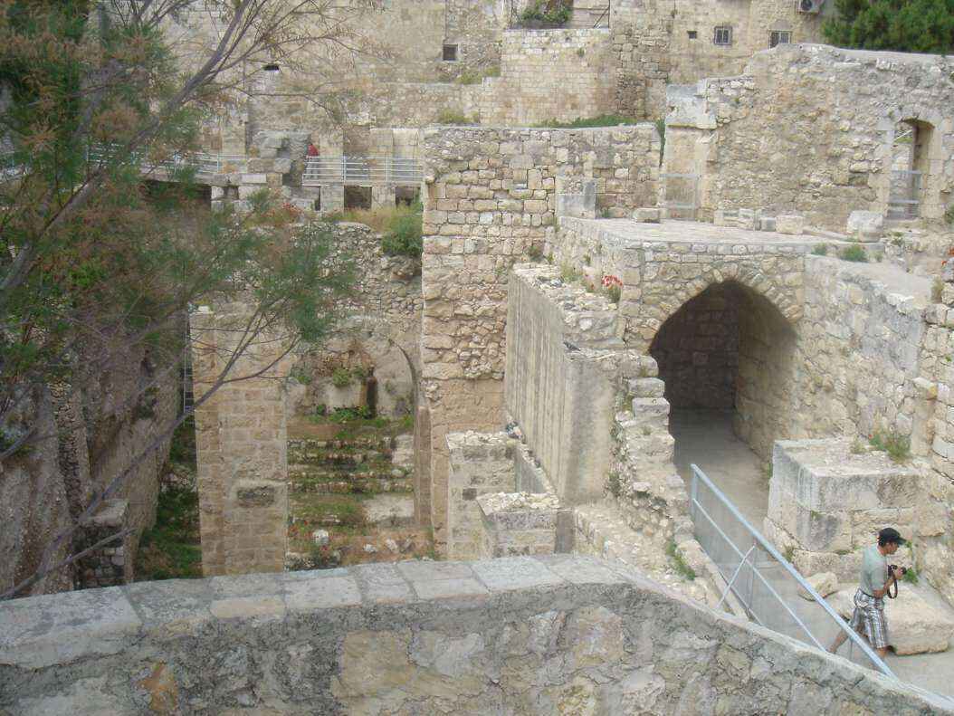 DSC00514 - Copy.JPG