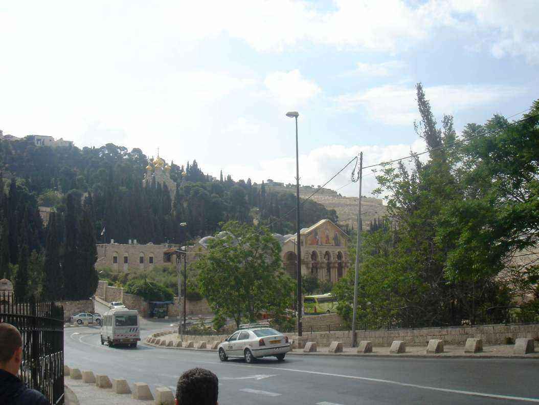 DSC00416.JPG