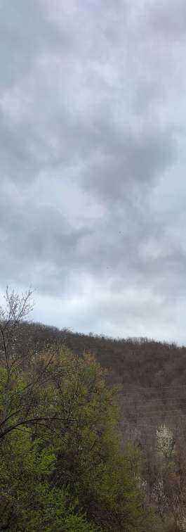 IMG_20230416_144223.jpg
