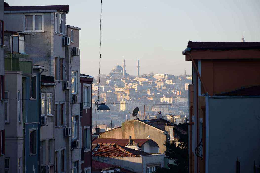 DSC_0531.JPG
