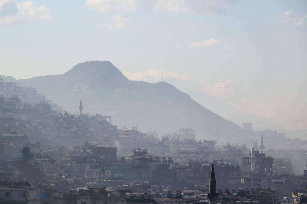 DSC_1002.jpg