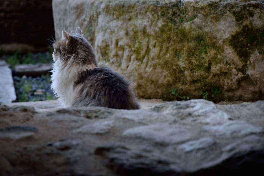 DSC_1560.jpg