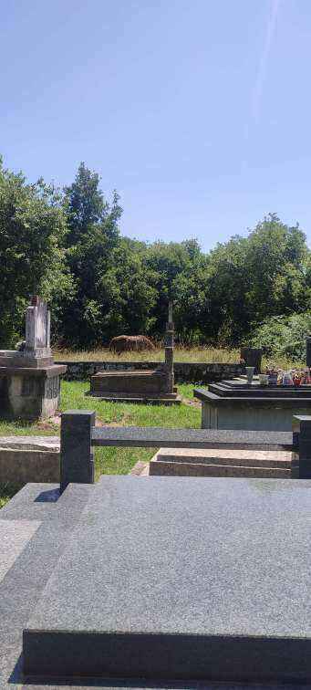 IMG_20230712_132627.jpg
