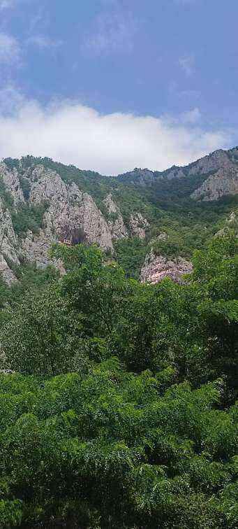 IMG_20230714_115505.jpg