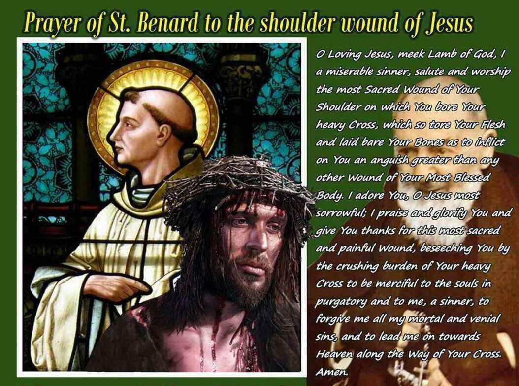 St-Benard-02a.thumb.jpg.9177afac04174edfb8058cfff4ccfd44.jpg