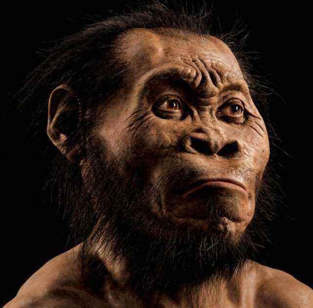 Homo-Naledi.jpg.383f7294182f3ec540974f716a88c650.jpg
